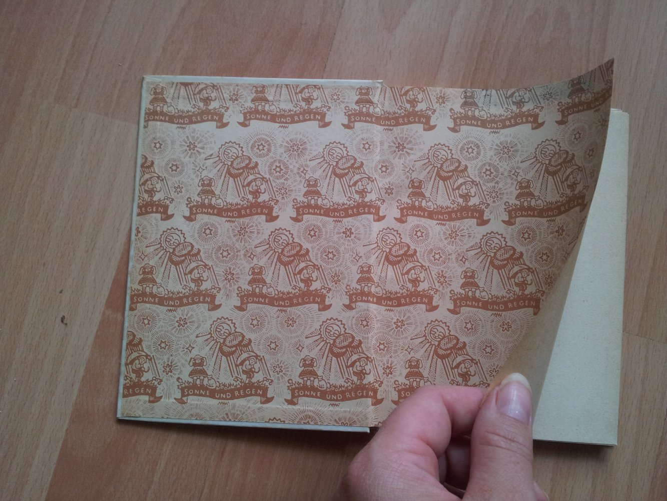 Sonne und Regen im Kinderland - Band 73 - Fidelius und der Vagabund