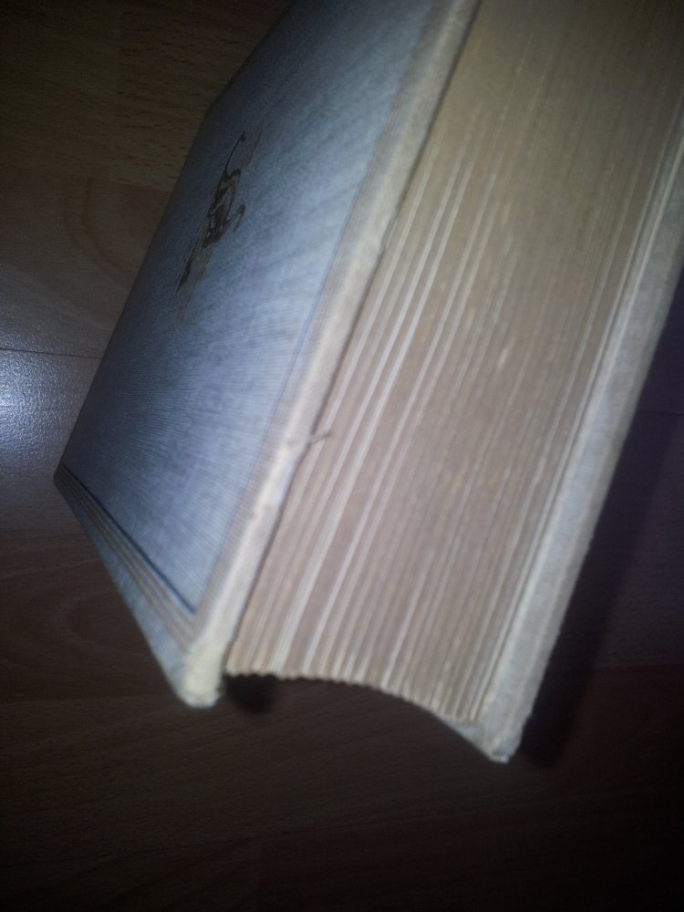 Das Leben der Urwelt - Wilhelm Bölsche - Dinosaurier