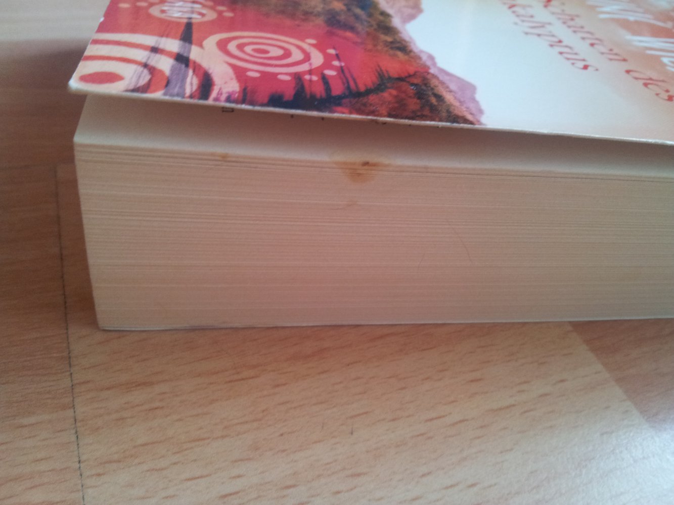 Im Schatten des Eukalyptus - Lynn Wilding - Australien-Saga