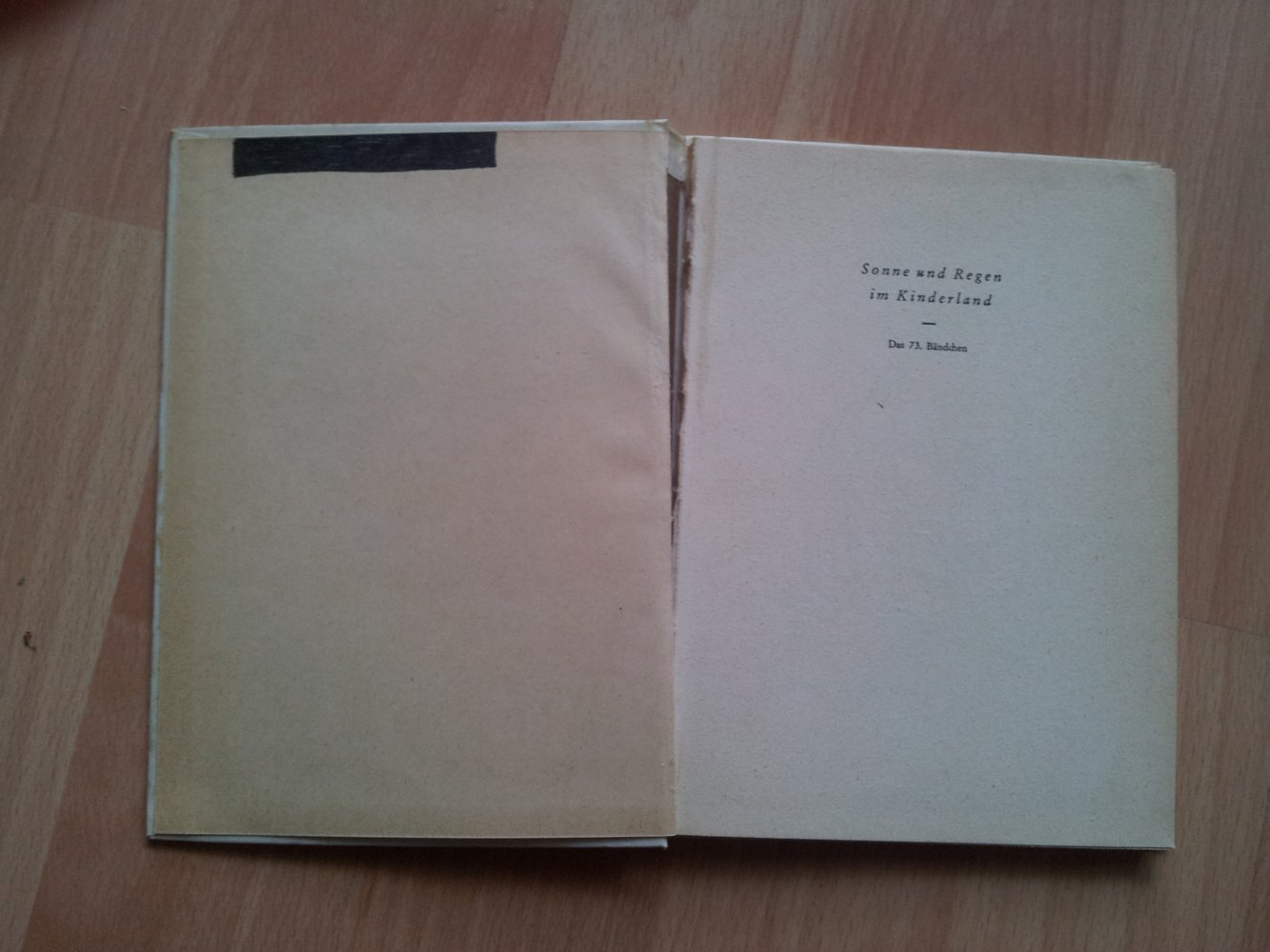 Sonne und Regen im Kinderland - Band 73 - Fidelius und der Vagabund