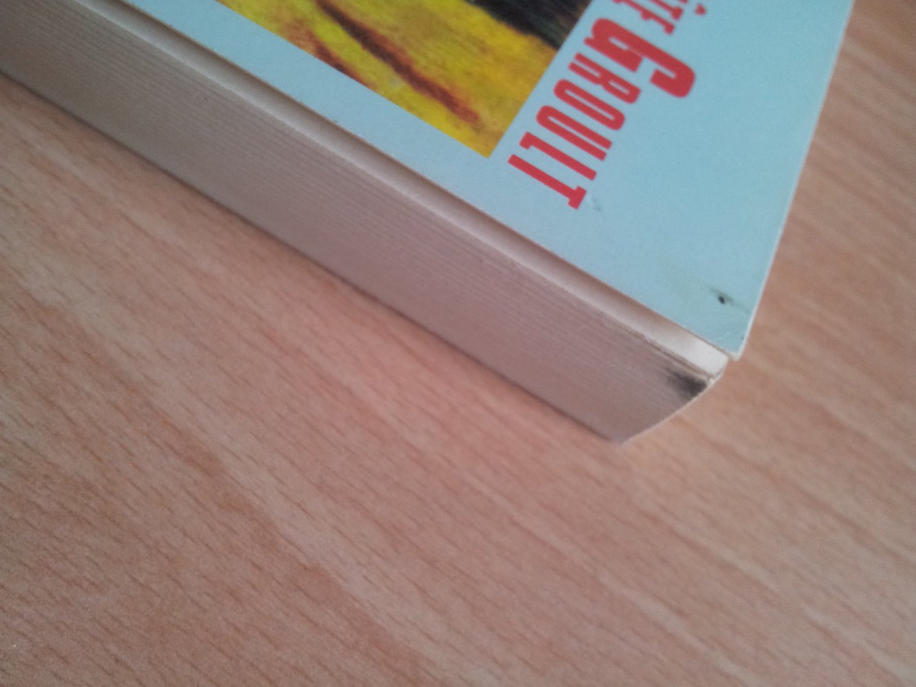 Salz auf unserer Haut - Benoîte Groult