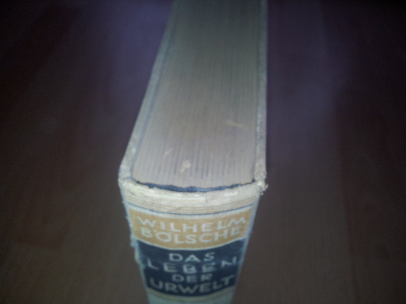 Das Leben der Urwelt - Wilhelm Bölsche - Dinosaurier