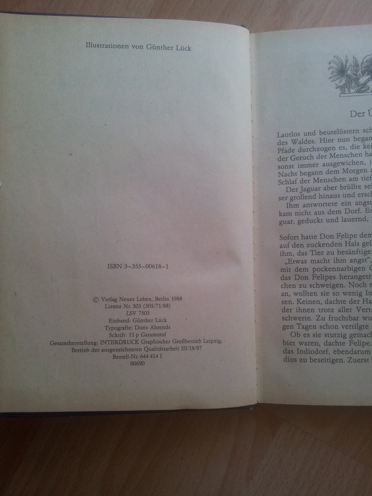  Die Stadt der Jaguare - Evelyn Aissa Maadaoui