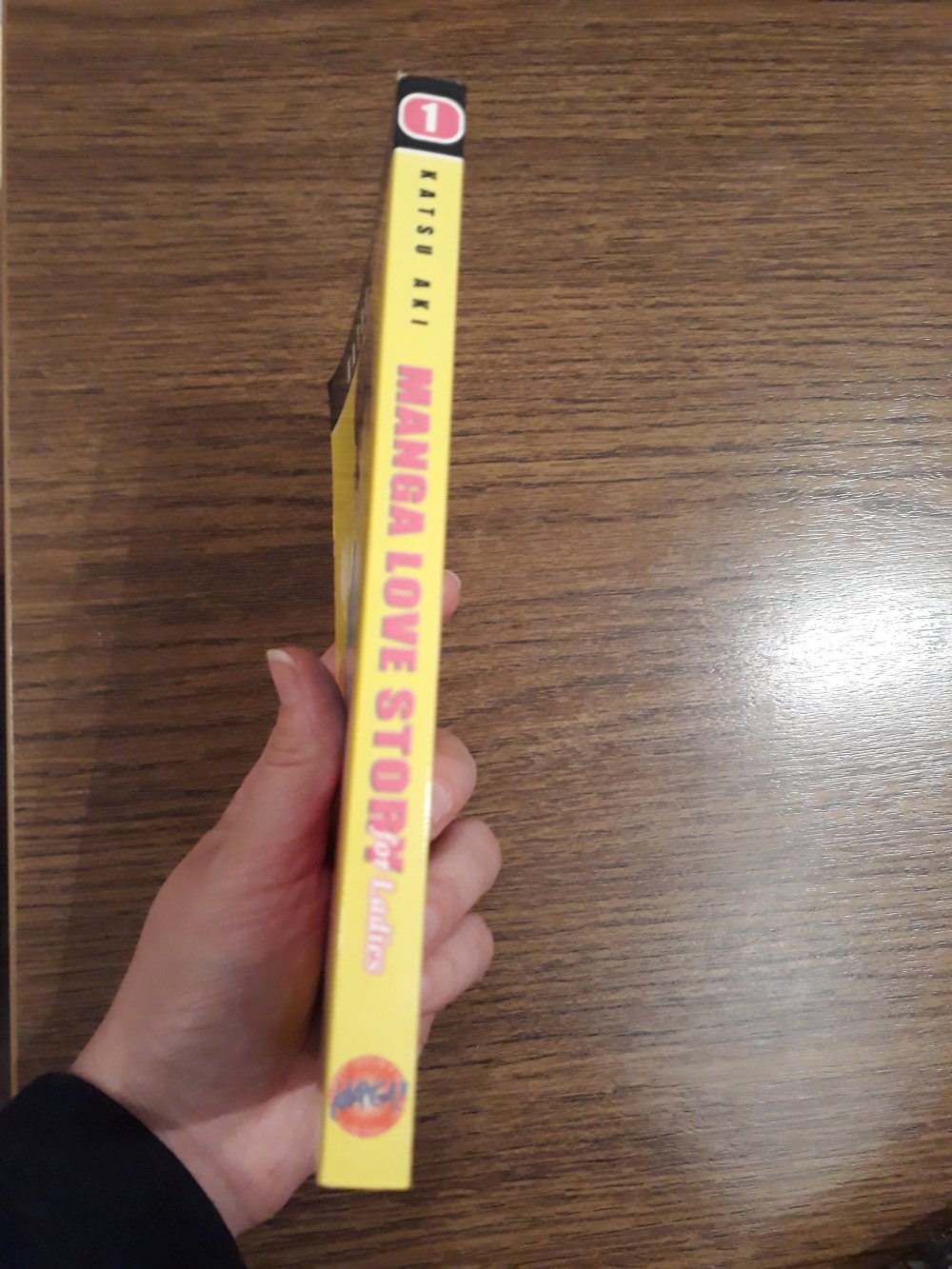 Manga Love Story for Ladys Band 1 Katsu Aki Hentai Romance