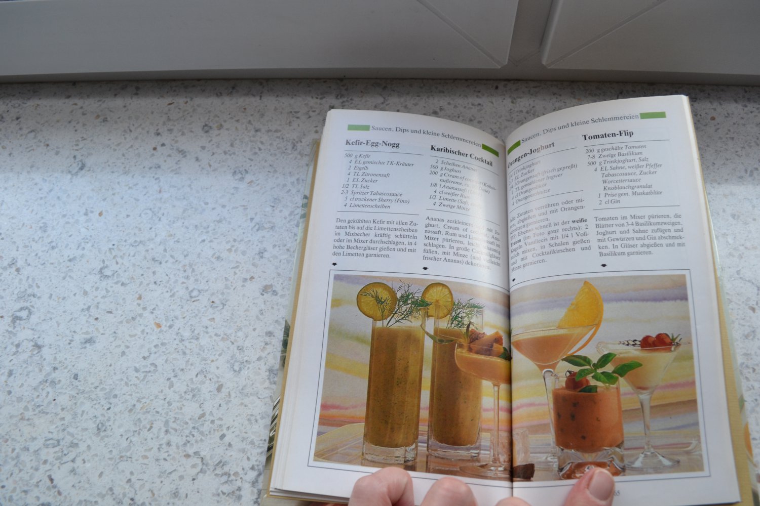 Feines aus Joghurt, Milch und Quark Rezeptbuch Kochbuch