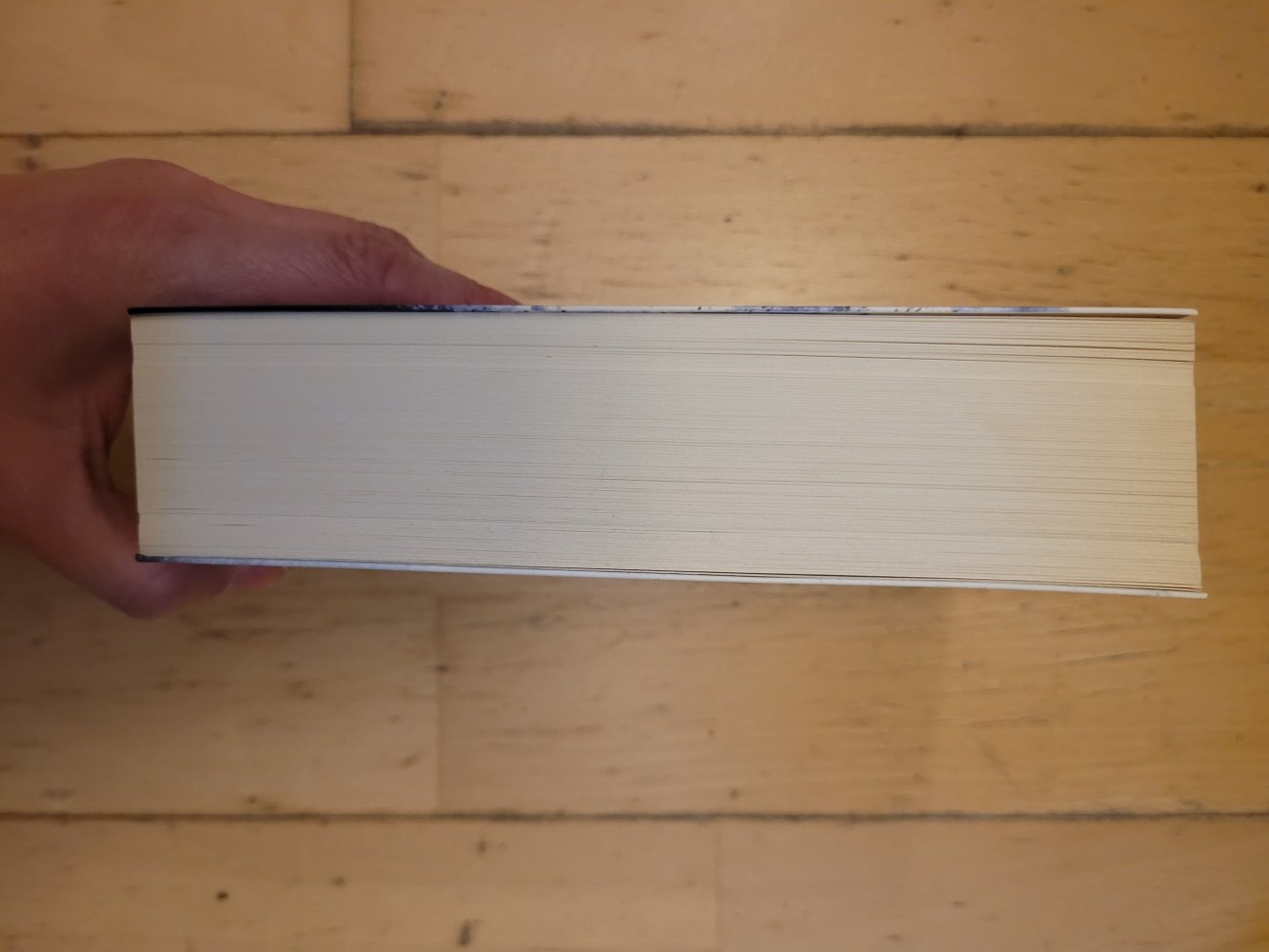 Der Jesus-Deal Thriller, Krimi