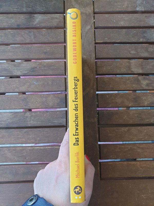 Das Erwachen des Feuerbergs