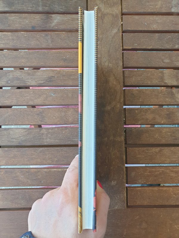 Das Erwachen des Feuerbergs