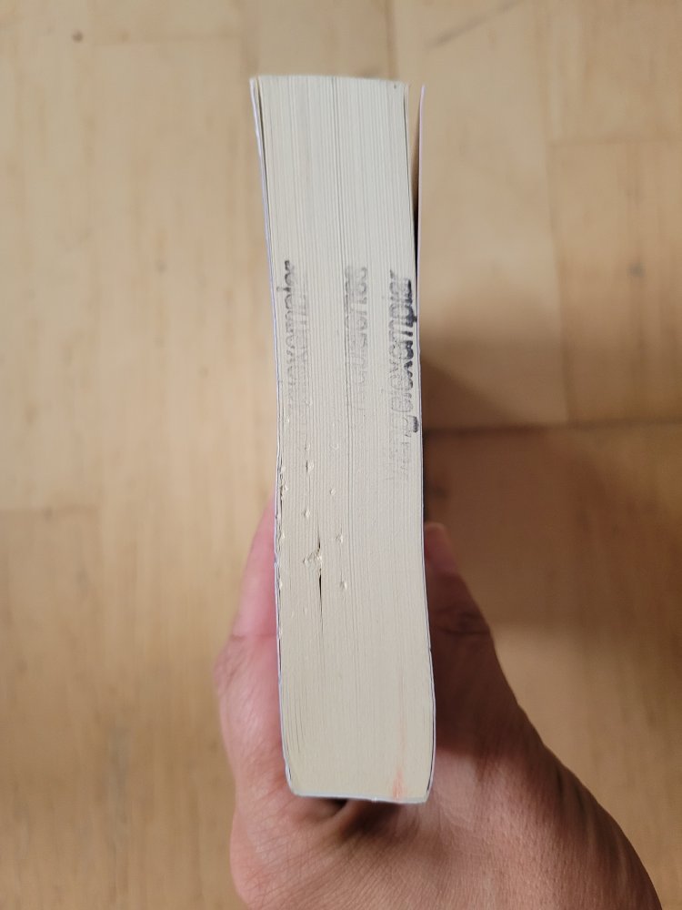 Der andere Mann - Die große Liebe der Simone de Beauvoir