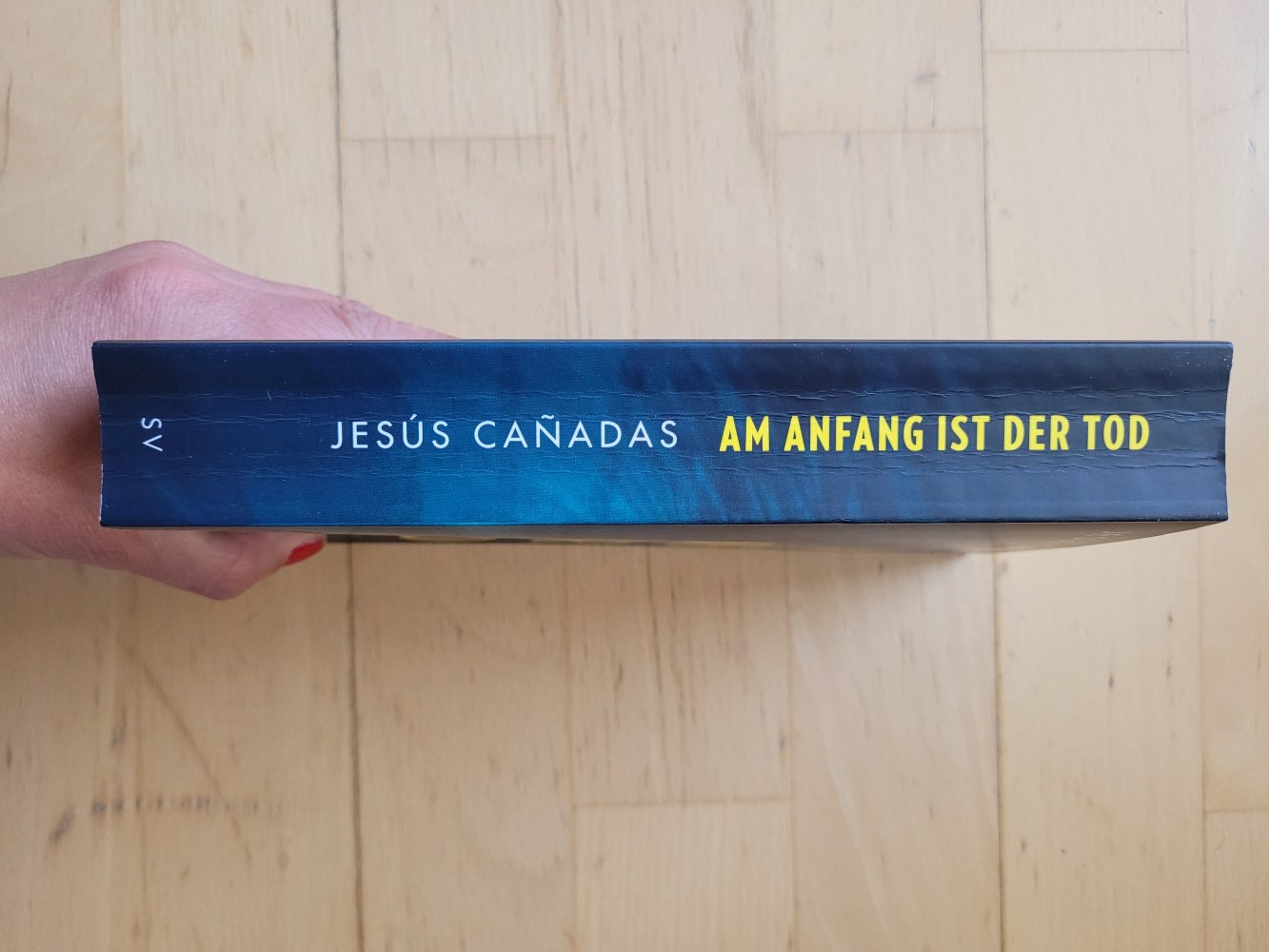 Am Anfang ist der Tod - Thriller