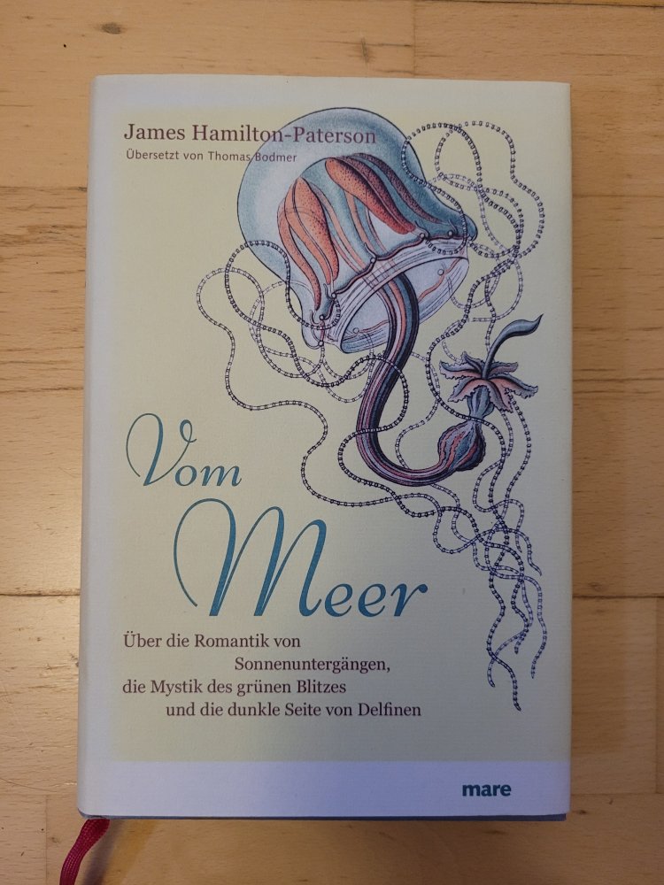 Vom Meer - Über die Romantik von Sonnenuntergängen, die Mystik des grünen Blitzes und die dunkle Seite von Delfinen