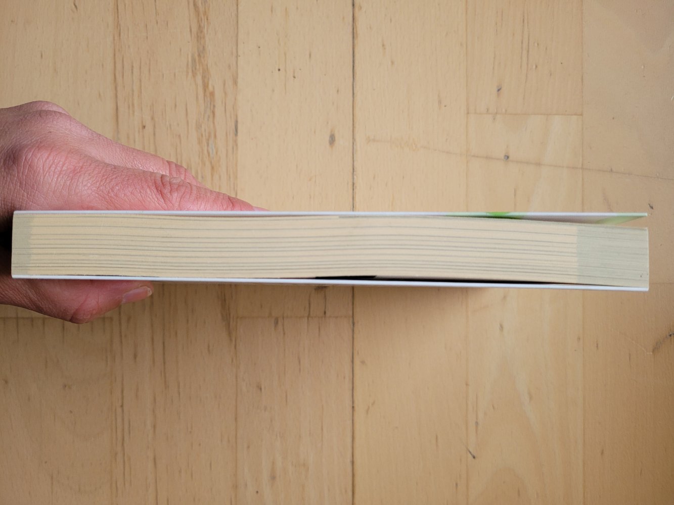 Der Schlüssel zur Gesundheit - Erfahrungen und Überzeugungen eines passionierten Arztes