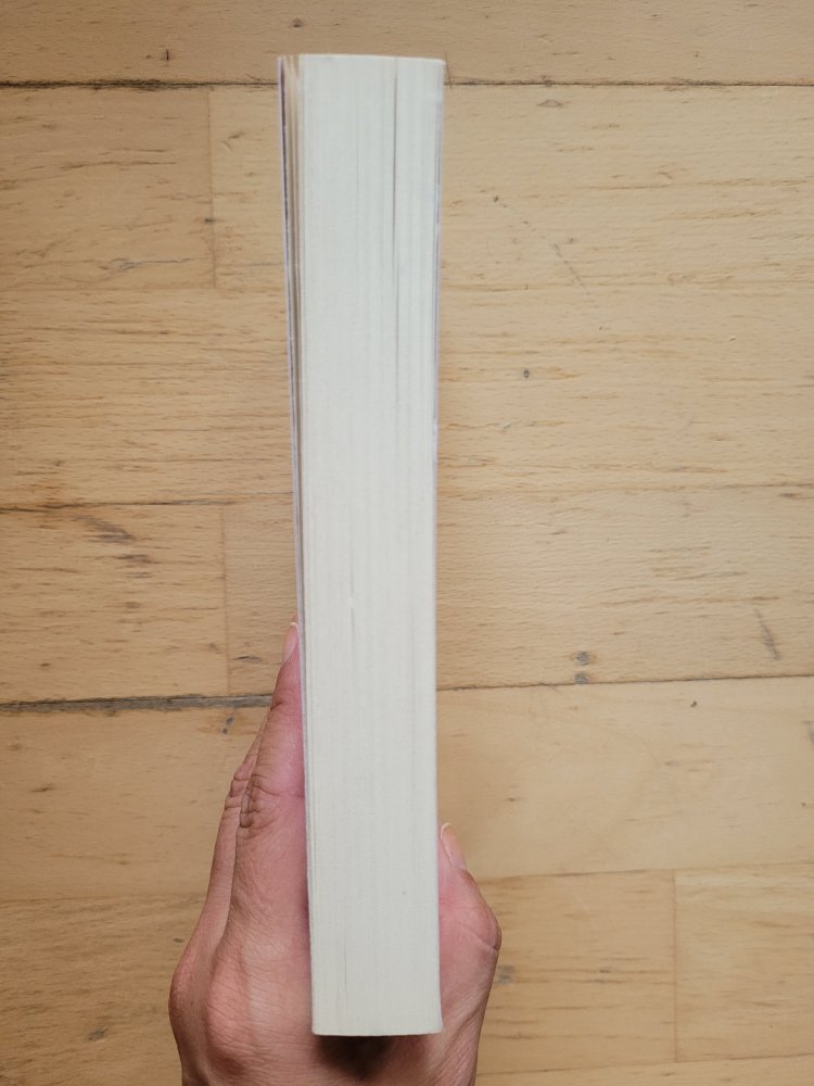 Der andere Mann - Die große Liebe der Simone de Beauvoir