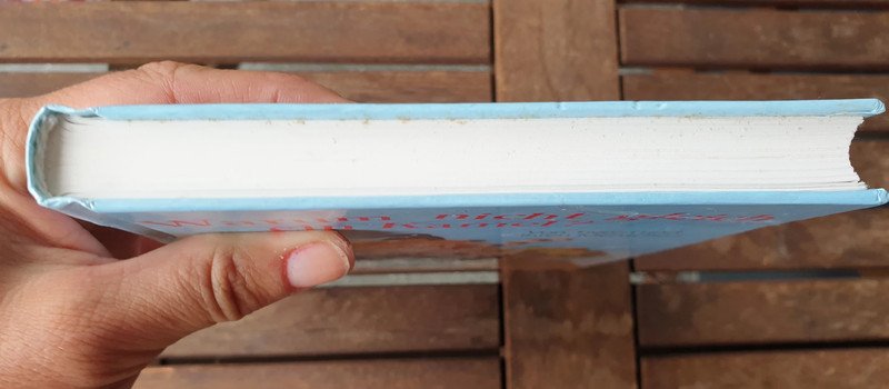 Warum nicht gleich ein Kamel? - Von Tieren und ihren Menschen