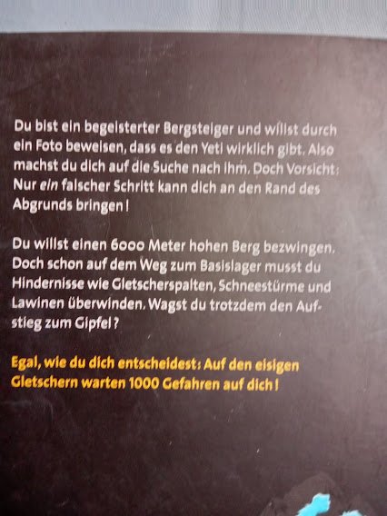 Buch 1000 gefahren in eisiger höhe