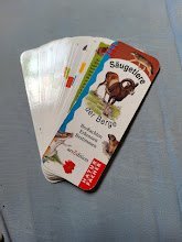 Naturfächer Säugetiere der Berge 