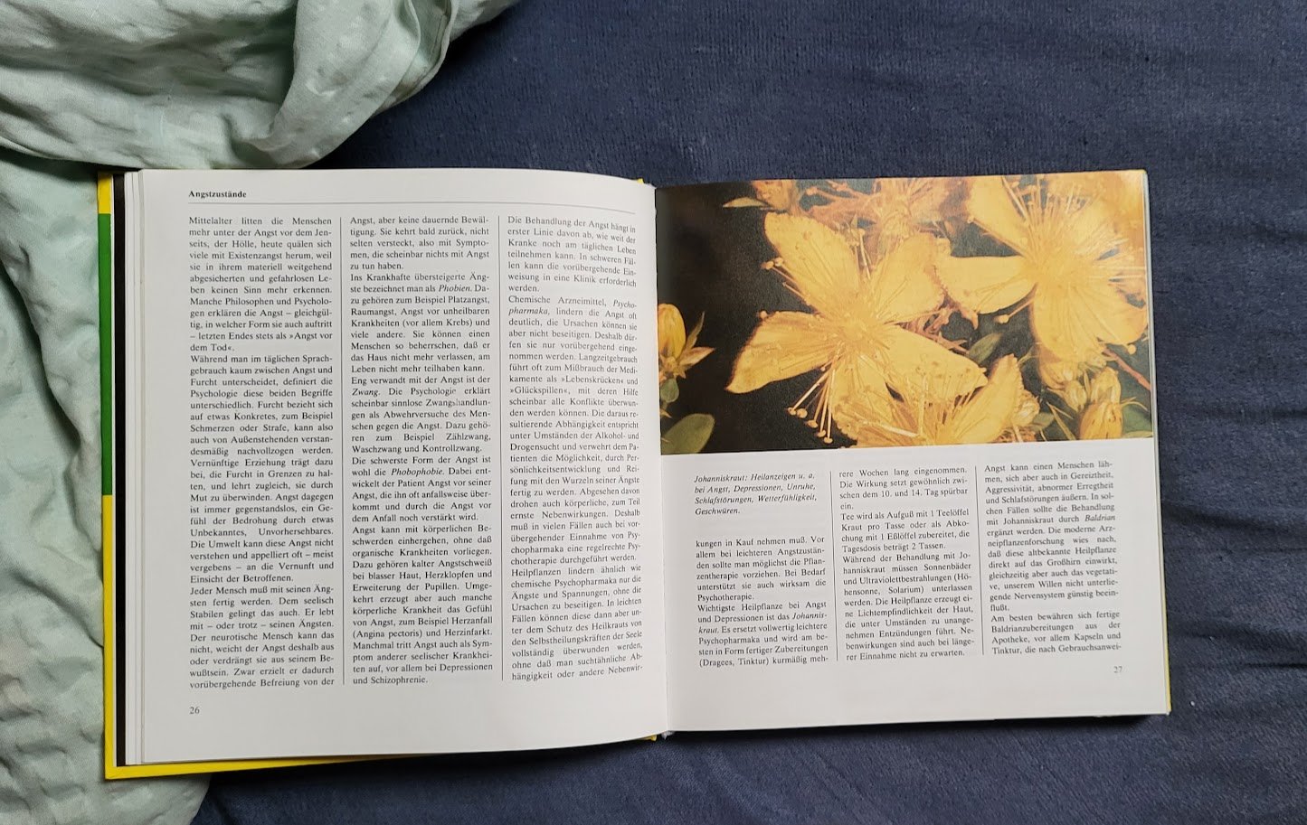 buch gegen alles ist ein Kraut gewachsen gebunden