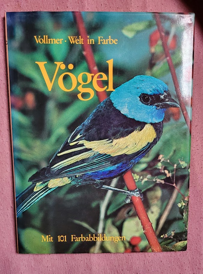 Buch Vögel Vollmer Welt in Farbe 