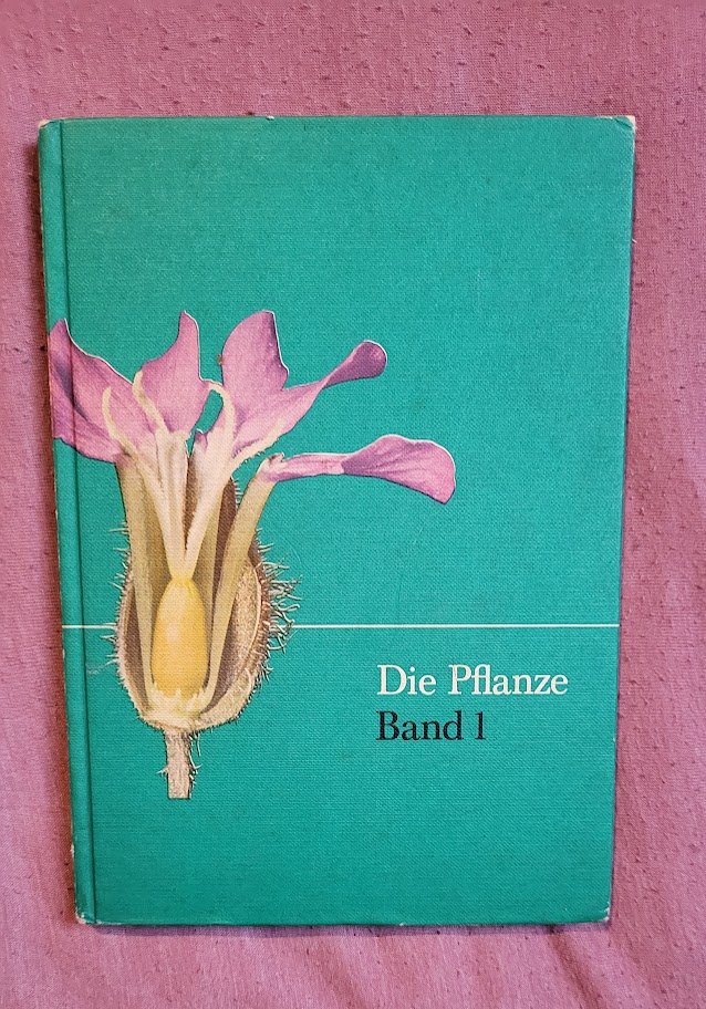 Schulbuch Die Pflanze 1 