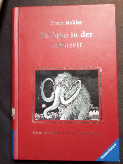 Buch Tschipo in der Steinzeit Franz Hohler 