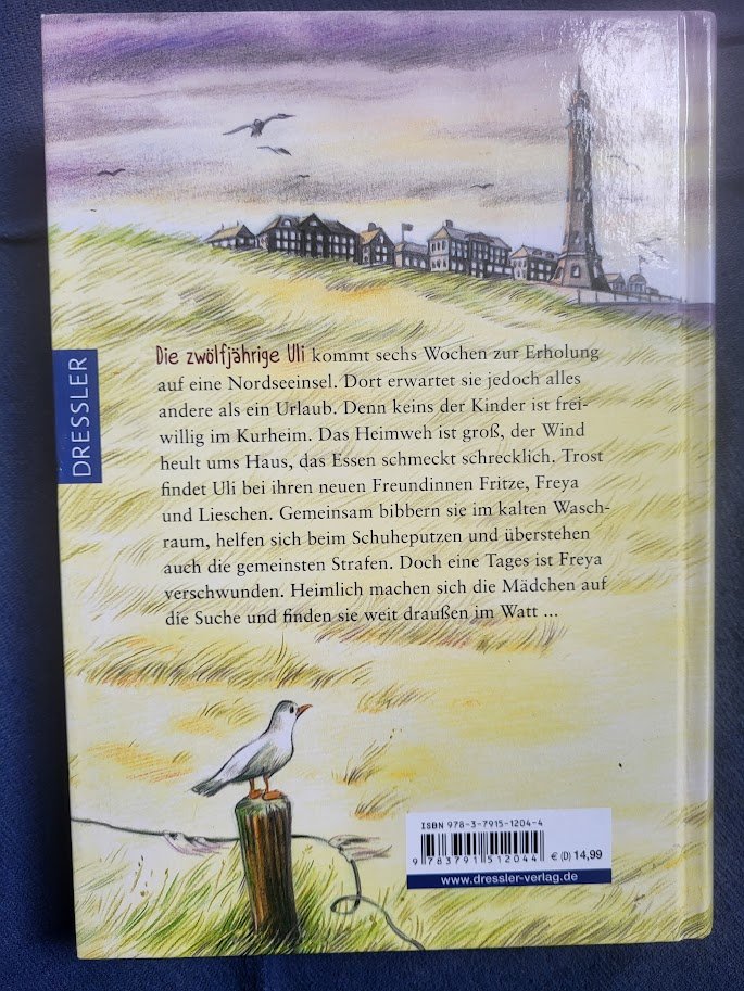 Sabine Ludwig Schwarze Häuser Jugendbuch