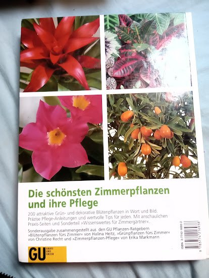 Heitz/Recht/Markmann Zimmerpflanzen 