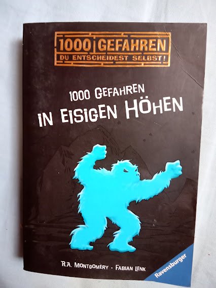 Buch 1000 gefahren in eisiger höhe