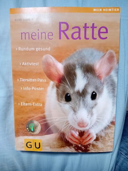 GU Heimtierratgeber Meine Ratte  