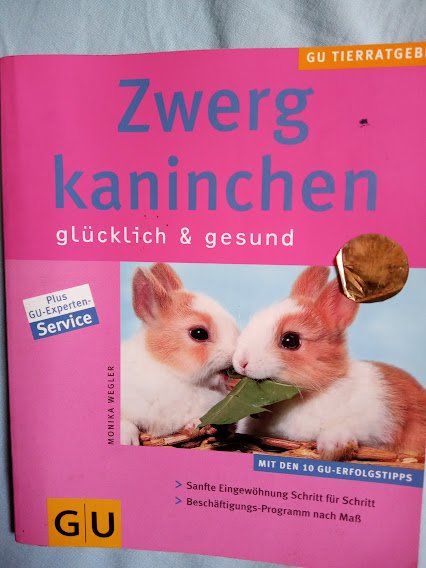 GU tierratgeber Zwergkaninchen glücklich und gesund 