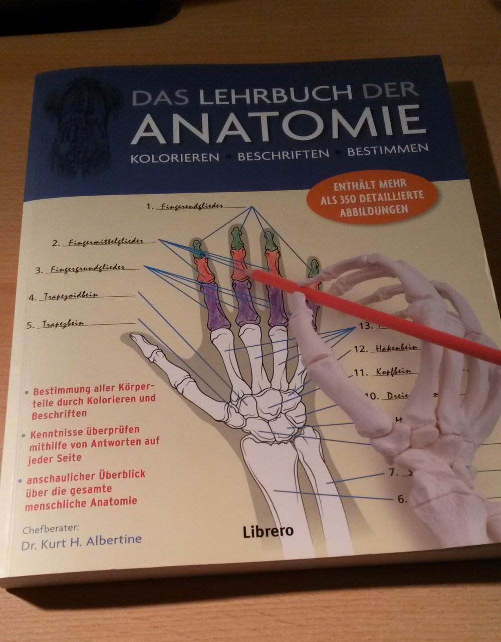 Das Lehrbuch der Anatomie