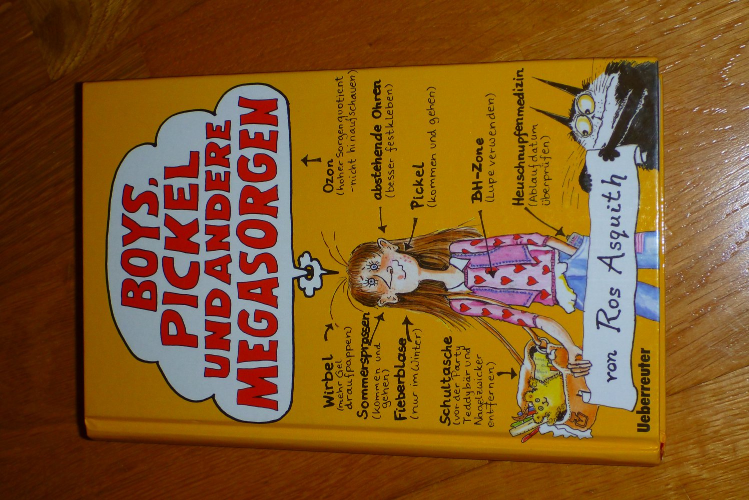 Buch: Boys, Pickel und andere Megasorgen