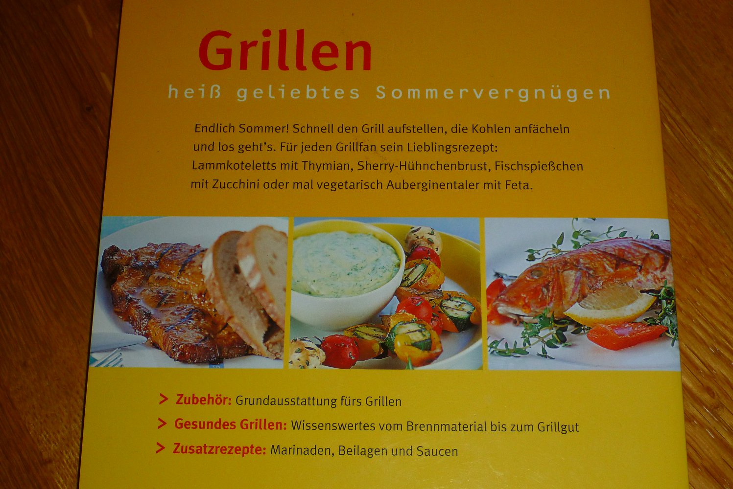Kochuch: Grillen von GU
