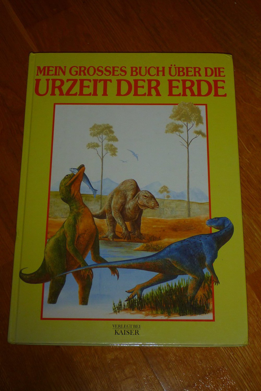 Mein grosses Buch über die Urzeit der Erde