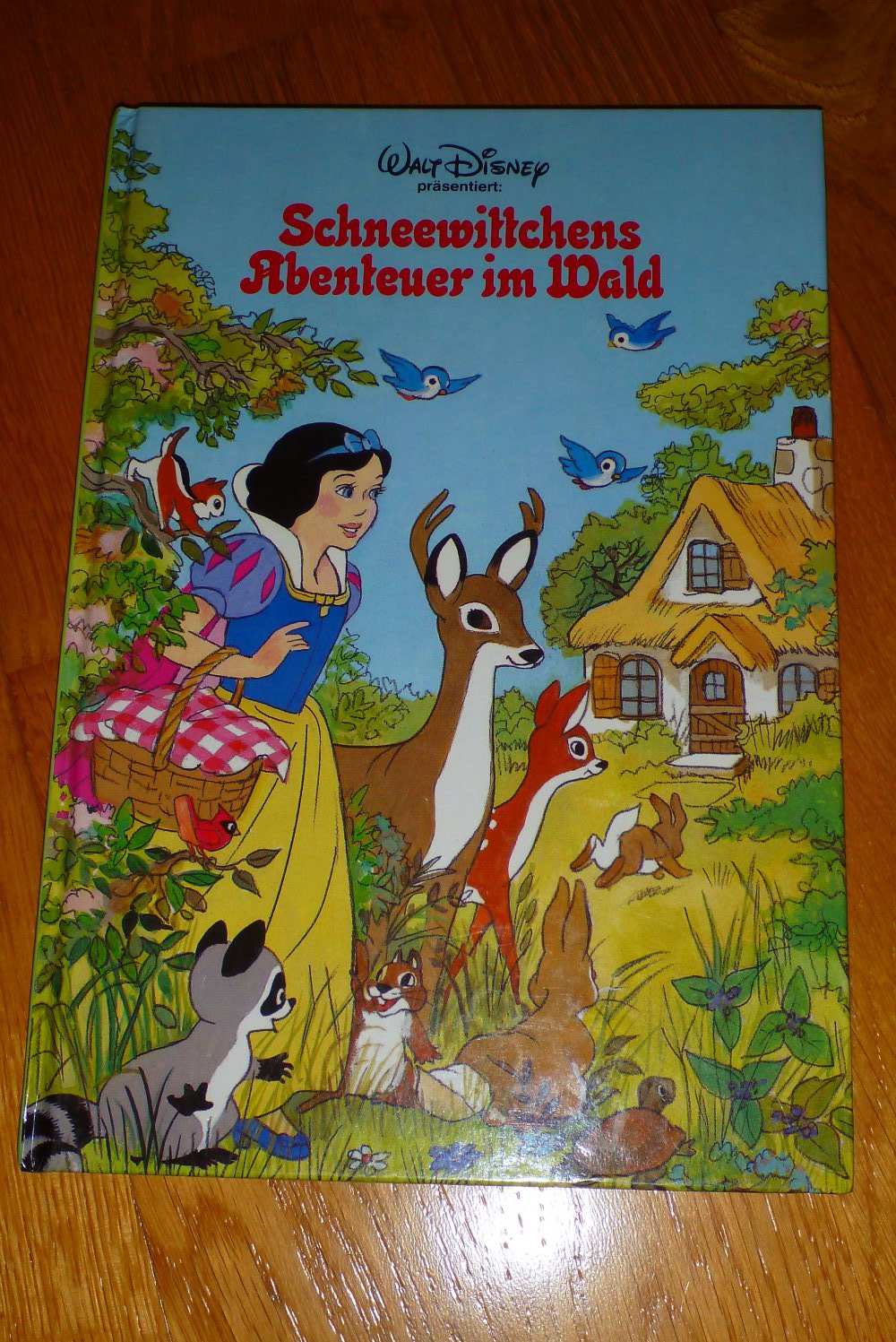 Buch: Schneewittchens Abendteuer im Wald