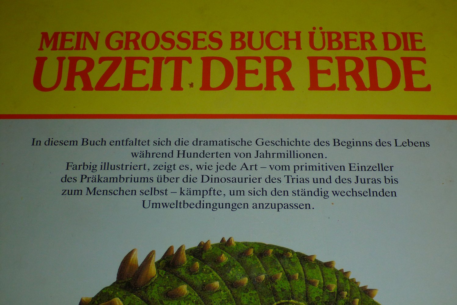 Mein grosses Buch über die Urzeit der Erde