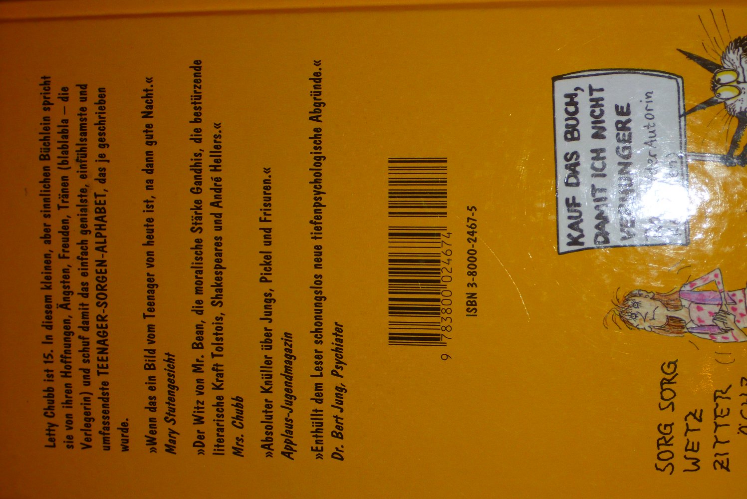 Buch: Boys, Pickel und andere Megasorgen