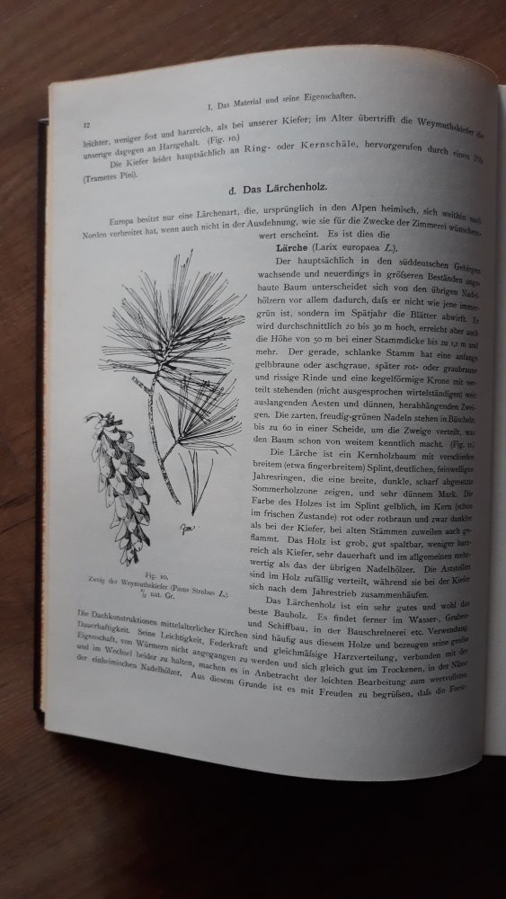 Das Zimmermannsbuch - Bau- und Kunstzimmerei