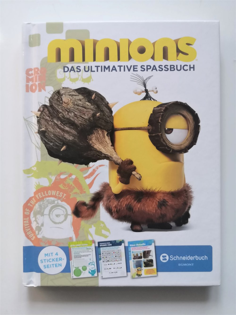 Kinderbuch Minions