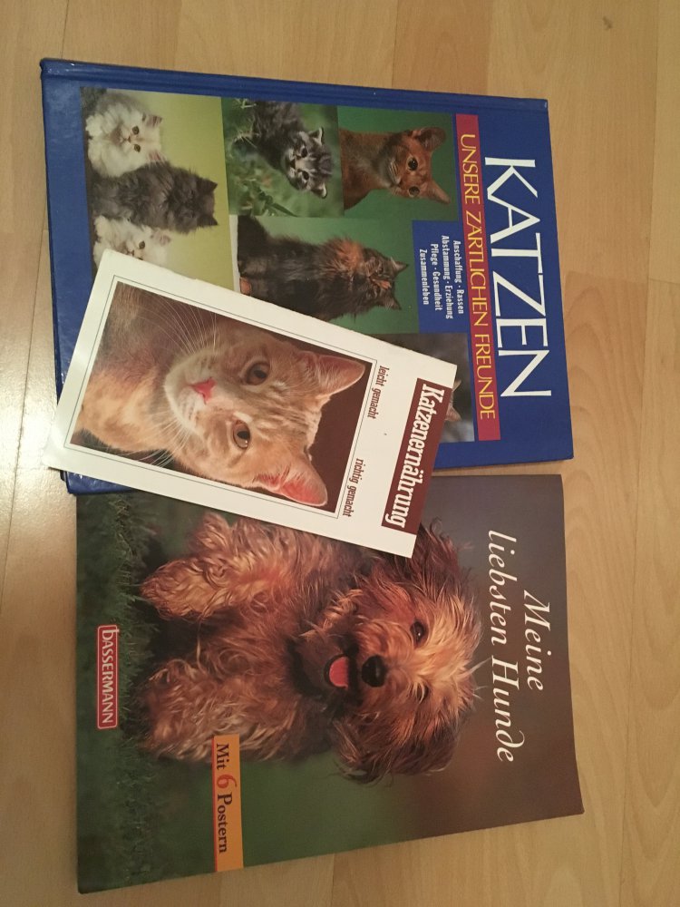 Bücher Katzen und Hunde