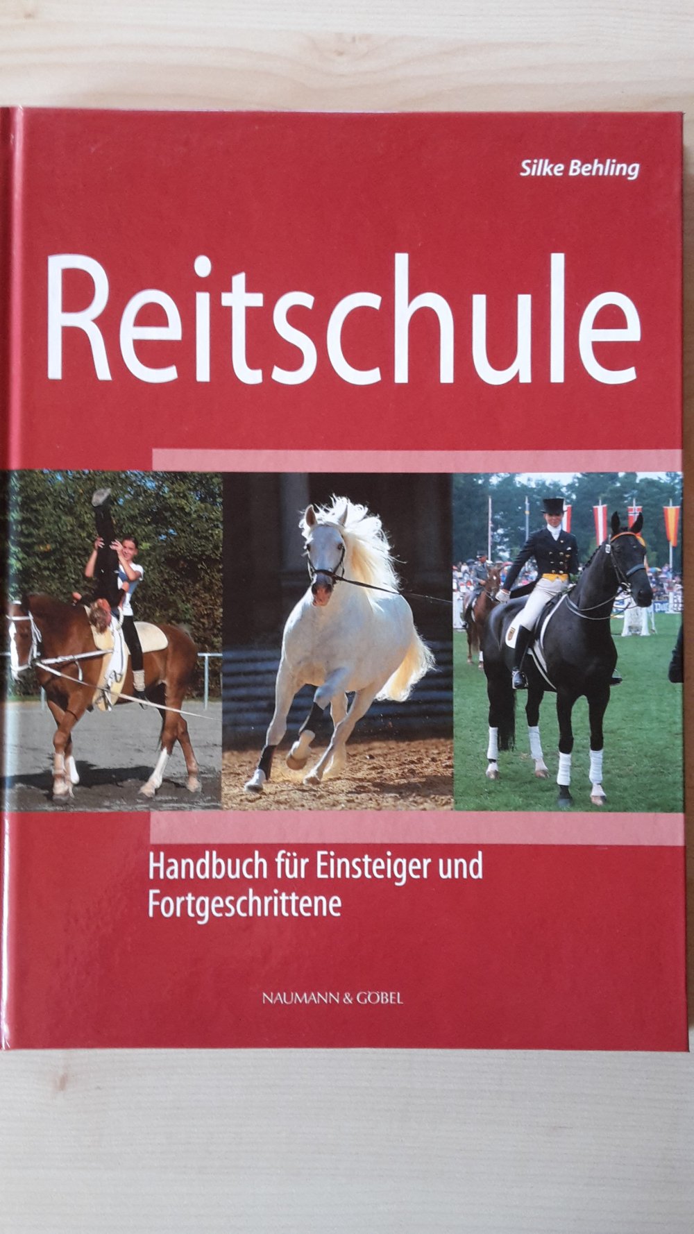 Reitschule NEU 