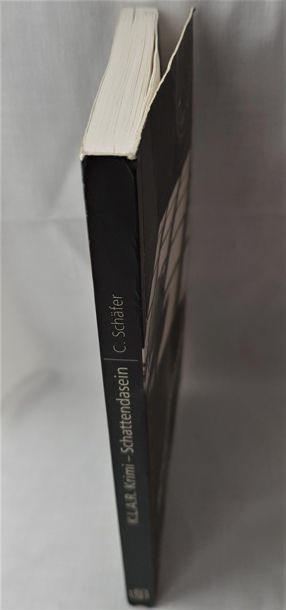  Schattendasein -- Carlo Schäfer -- ab 12 Jahre