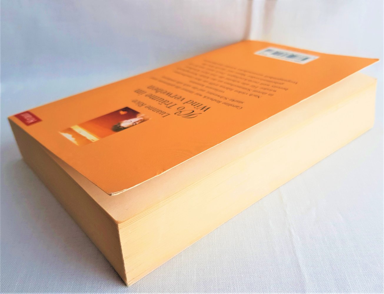  Wo Träume im Wind verwehen -- Luanne Rice