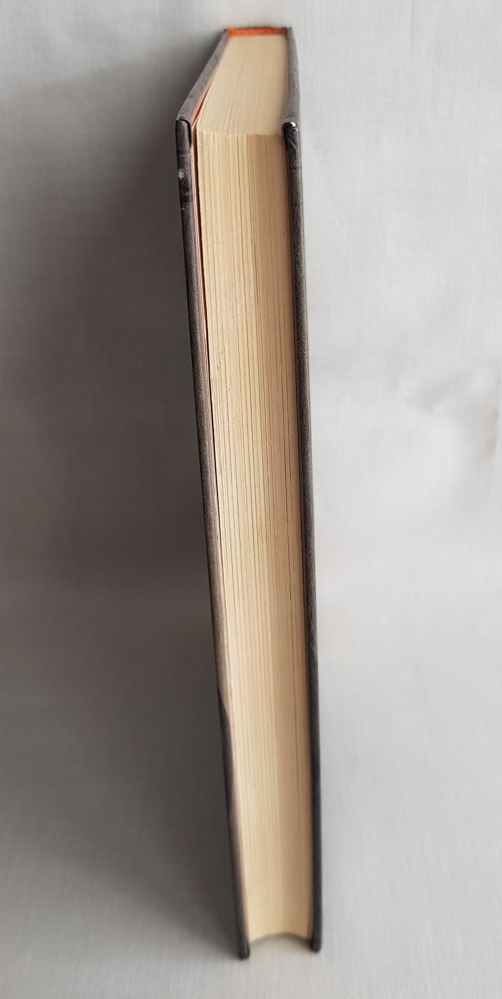  Die Superpiraten -- Der Ritter aus dem Hafenbecken -- Band 1