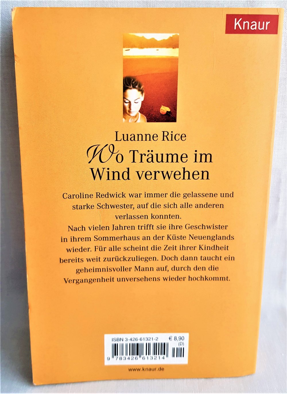  Wo Träume im Wind verwehen -- Luanne Rice
