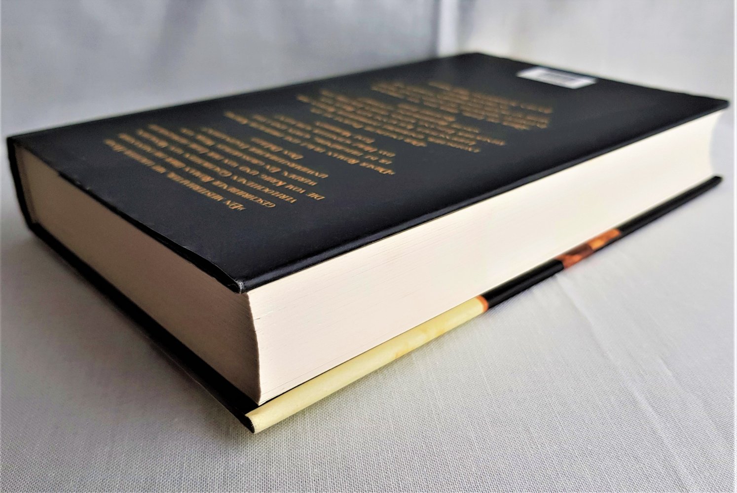  Der englische Patient - Michael Ondaatje