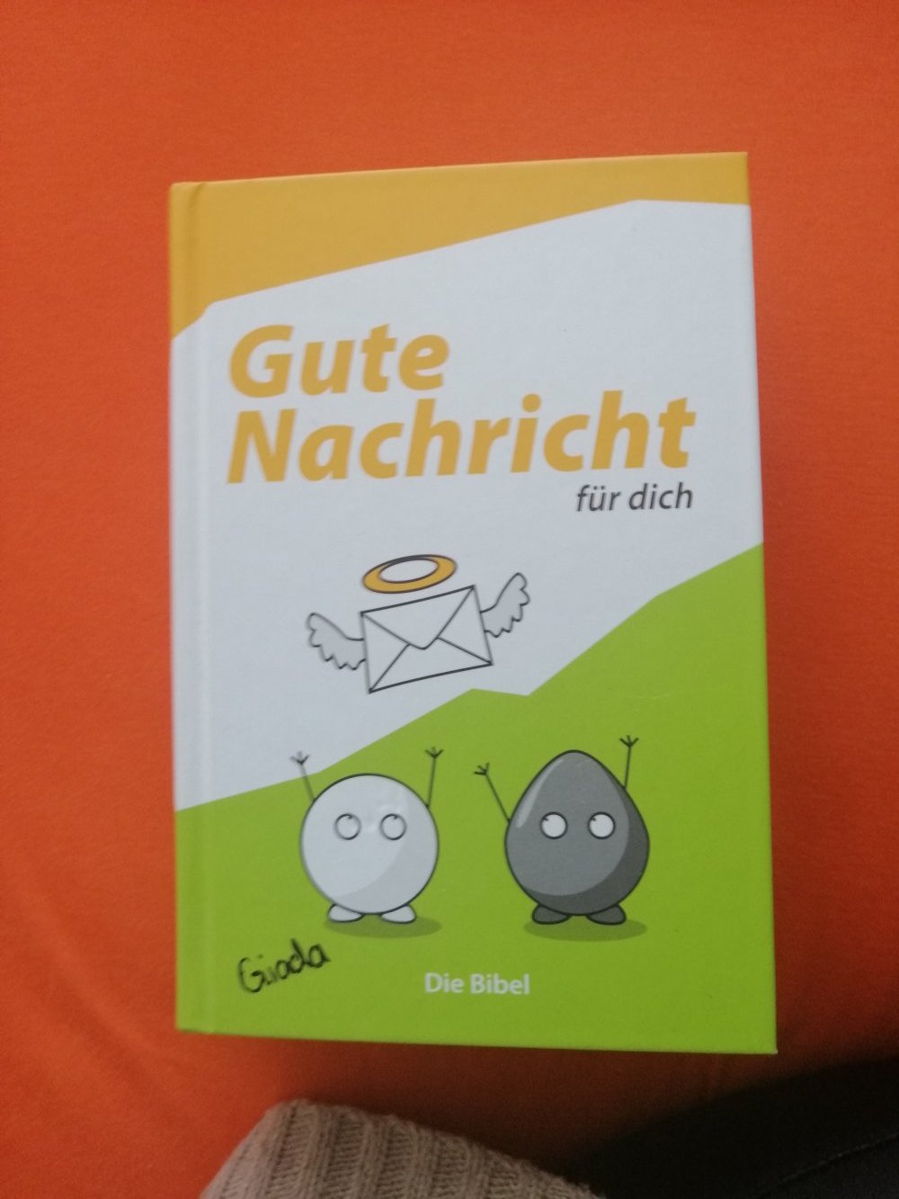 Gute Nachricht für dich Die Bibel
