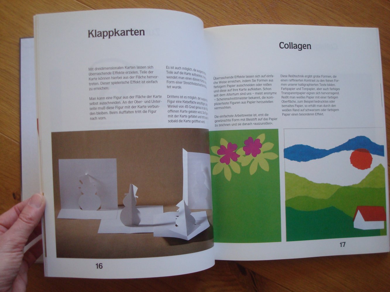 Buch Sachbuch Gruß- und Glückwunschkarten kalligraphieren, Kalligraphie Neu