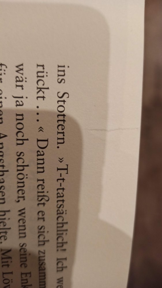 Der verrückte Ferienritt, ab 9 Jahre