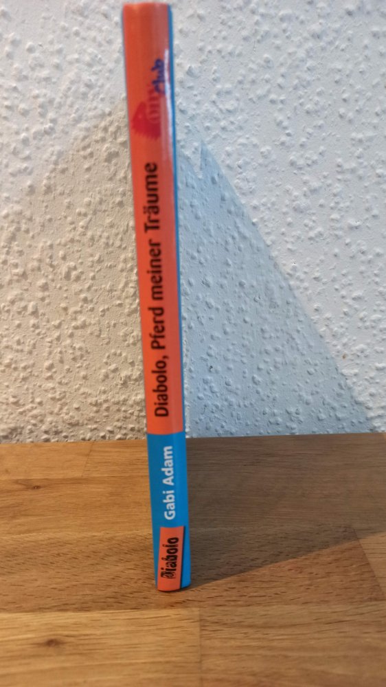 Diablo, Pferd meiner Träume, ab 8 Jahre