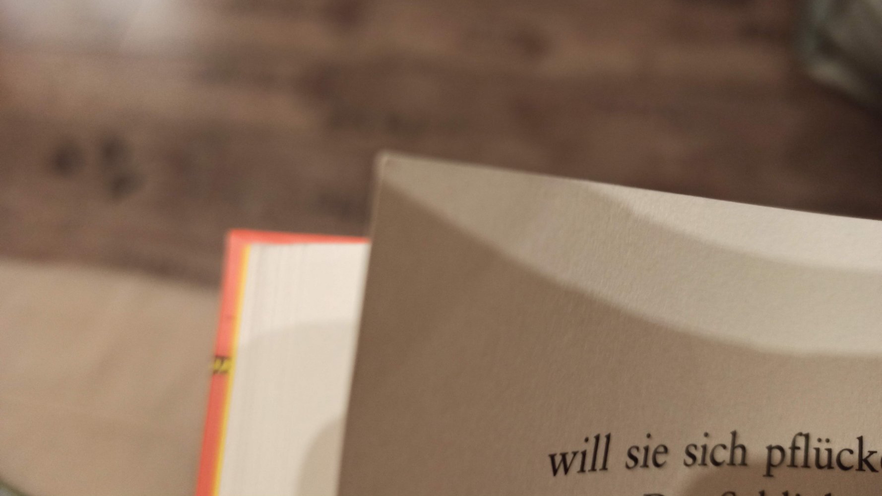 Der verrückte Ferienritt, ab 9 Jahre